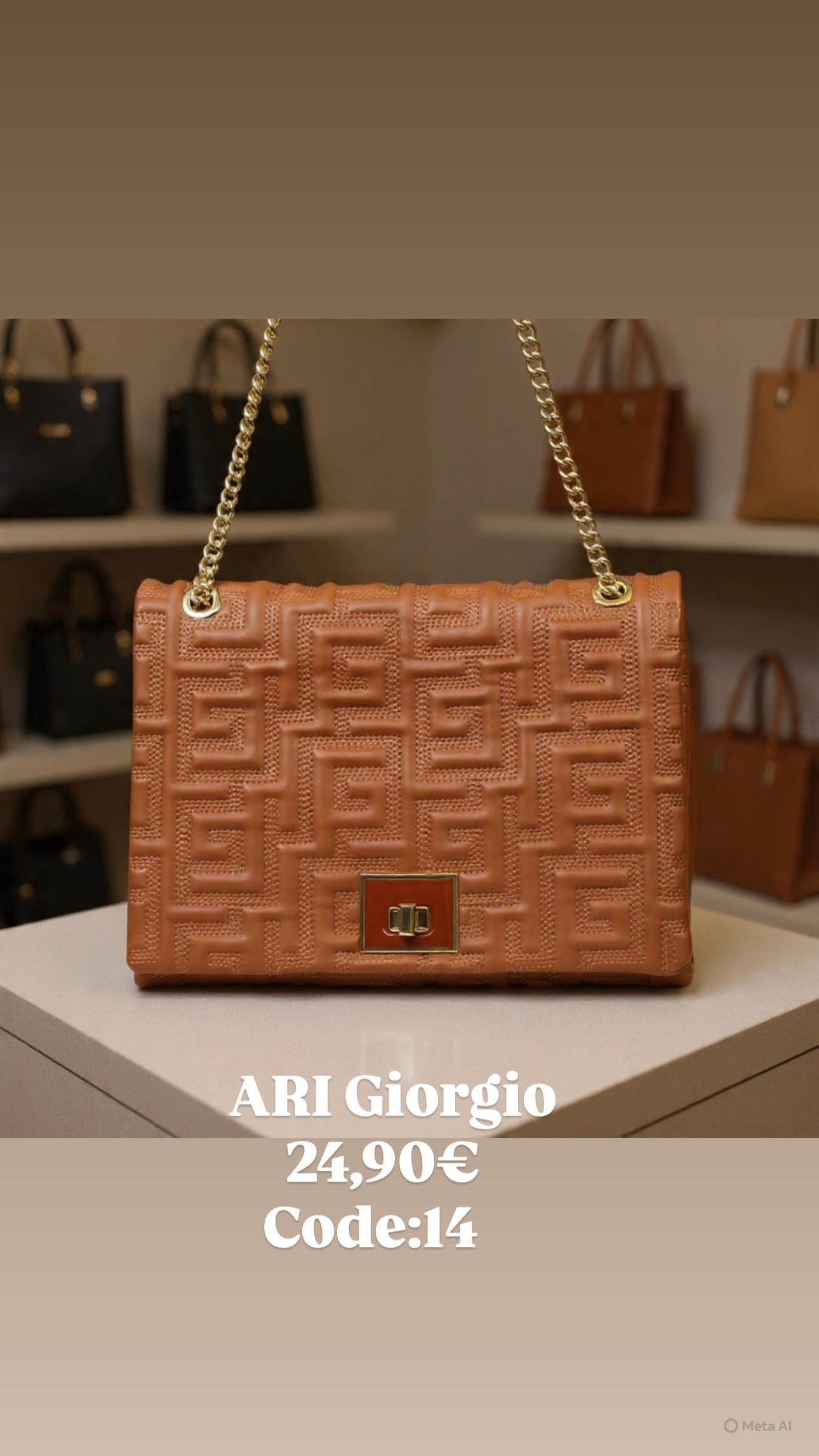 Καφέ τσάντα ώμου ARI GIORGIO